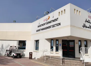 INVESTMENT DEPARTMENT MARKET MANAGEMENT SECTION
