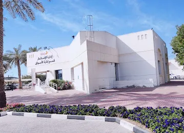 INVESTMENT DEPARTMENT MARKET MANAGEMENT SECTION
