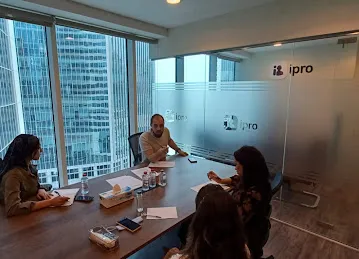 IPRO BUSINESS ENTITIES MANAGEMENT SERVICES L.L.C