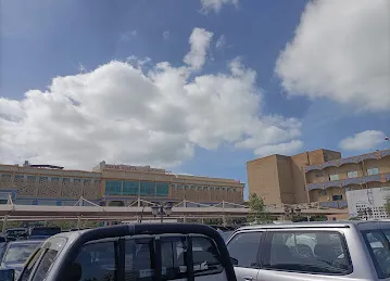 Iranian hospital pedestrian bridge