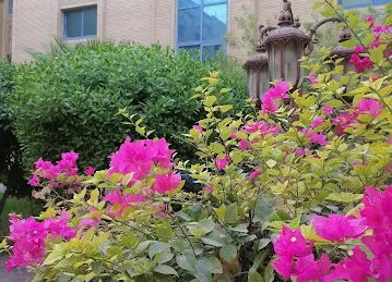 Iranian teachers complex
