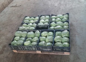 Jabrdanian Lebanese Vegetables,Fruits & Foodstuffs Co. (LLC)