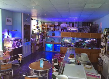 جبل الريان لتجهيز الفطائر والمعجنات