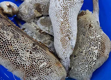 جبل صحار للحلوى العمانية