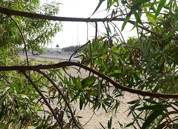Jebel Ali Free Zone, Roundabout 6-2