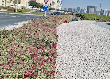 Jebel Ali Industrial Area