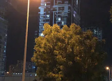 Jlt Dubai