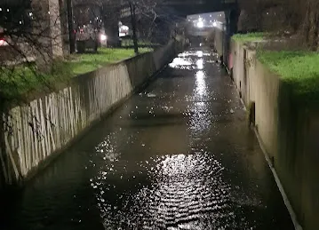 جمال مراد شركات