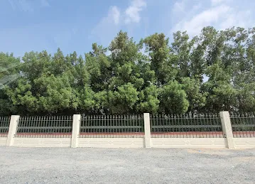 Jogging Track Sharjah