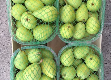 Juicy and Fresh Trading LLC