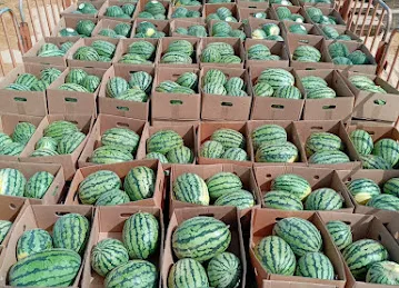Jumaila Fruits and Vegetables Trading LLC