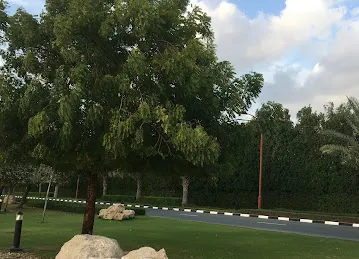 Jumeirah Golf Estates - Dubai