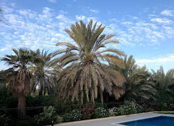 Jumeirah Islands, Cluster 17
