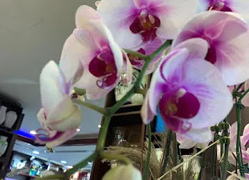 June Flowers LLC - Best Flower Delivery Shop in Dubai