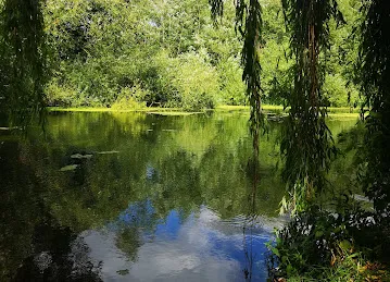 جائزة الشيخ راشد للابداع