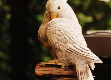 Kalemat bookstore مكتبة كلمات