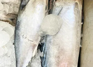 KANZ AL BAHAR FISH TRADING - كنز البحر لتجارة الأسماك الطازجة
