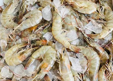 KANZ AL BAHAR FISH TRADING - كنز البحر لتجارة الأسماك الطازجة