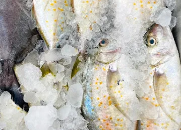 KANZ AL BAHAR FISH TRADING - كنز البحر لتجارة الأسماك الطازجة