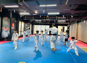 Karate Kid Martial Arts