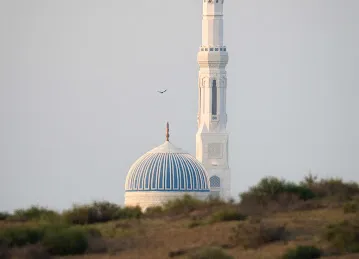 Khor Kalba Mosque