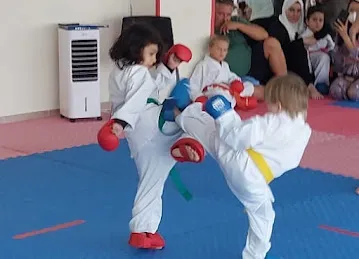 KiDojo Karate School