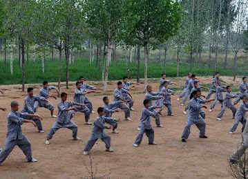 Kids Kung Fu Classes - Silicon Oasis - POBOX 441007