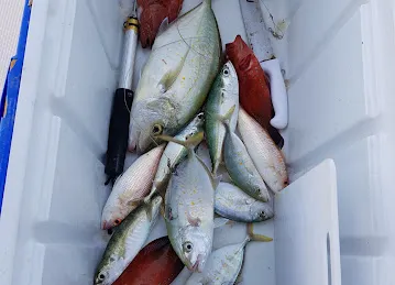 King Fisher Tours Leisure Yachts & Boats Rental LLC