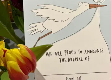 Kingdom Of Flowers مملكة الزهور
