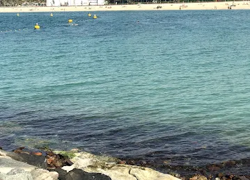 Kite beach Fishing