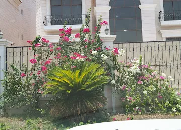 كلية الامارات للتكنولوجيا بنات