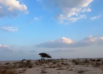 كشتة الجن