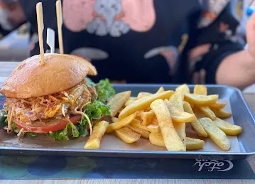 كاتش ٢٢