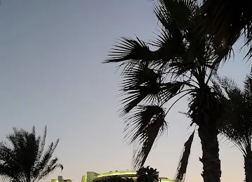 لا دوس