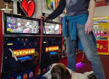 La Player Reggaeton