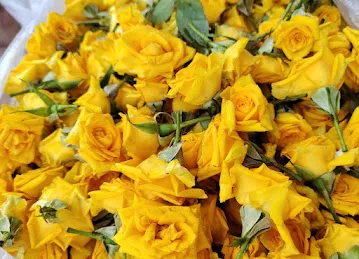 La Vender Flowers