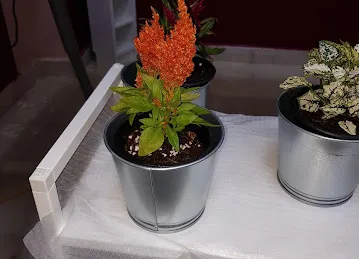 La Vie N Rose for flower لافي ان روز للزهور