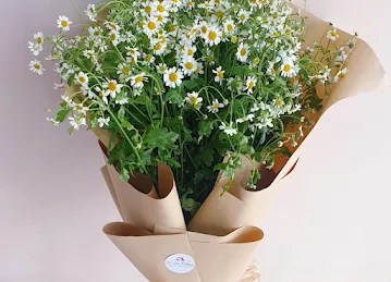 La Vie N Rose for flower لافي ان روز للزهور