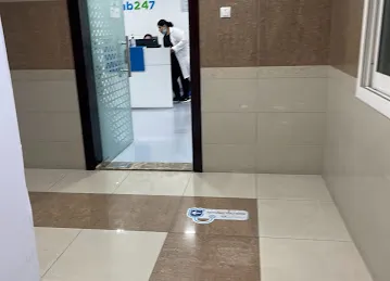 Lab247