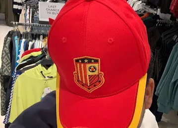 Lamsa