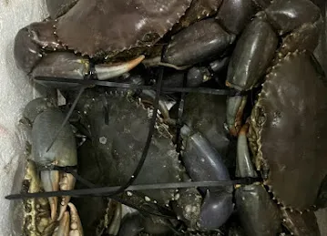 老船长蒸汽海鲜
