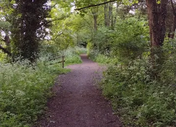 Lao Shanwei Restaurant