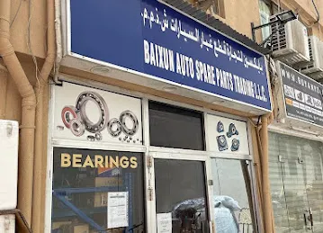 Lazio Bearings