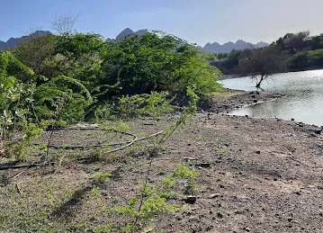 البحيرة المخفية The Hidden Lake