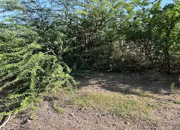 البحيرة المخفية The Hidden Lake