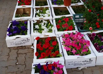 البستان الأخضر للزهور / AL BUSTAN AL AKHDAR FLOWERS
