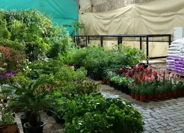 البستان الأخضر للزهور / AL BUSTAN AL AKHDAR FLOWERS