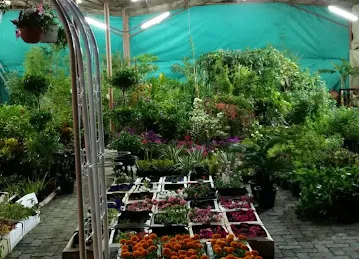 البستان الأخضر للزهور / AL BUSTAN AL AKHDAR FLOWERS