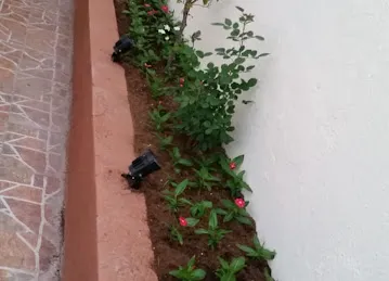 البستان الأخضر للزهور / AL BUSTAN AL AKHDAR FLOWERS
