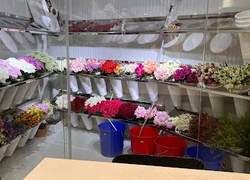 Le chocola فرع بين الجسرين